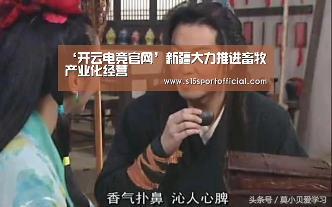 开云电竞官网