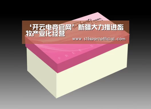 开云电竞