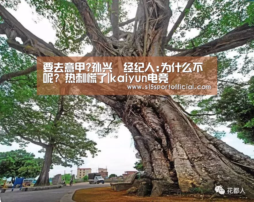 要去意甲?孙兴慜经纪人:为什么不呢? 热刺慌了|kaiyun电竞(图1) 开云电竞