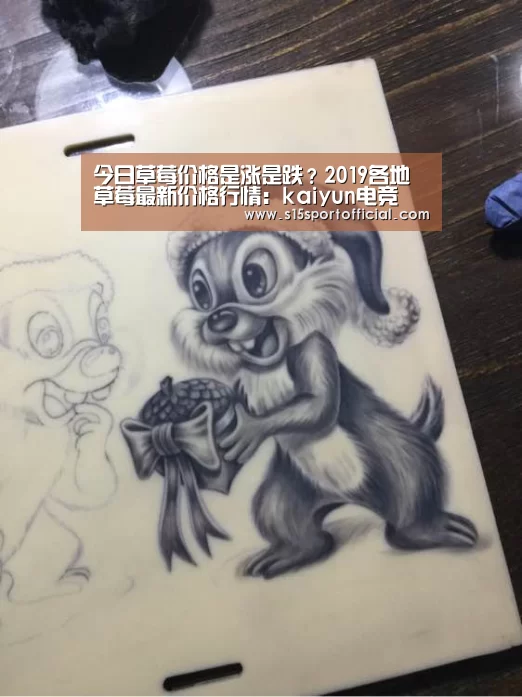 今日草莓价格是涨是跌?2019各地草莓最新价格行情:kaiyun电竞(图3) 开云电竞