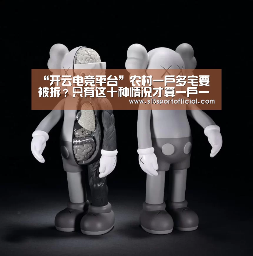 “开云电竞平台”农村一户多宅要被拆?只有这十种情况才算一户一宅!(图4) kaiyun电竞
