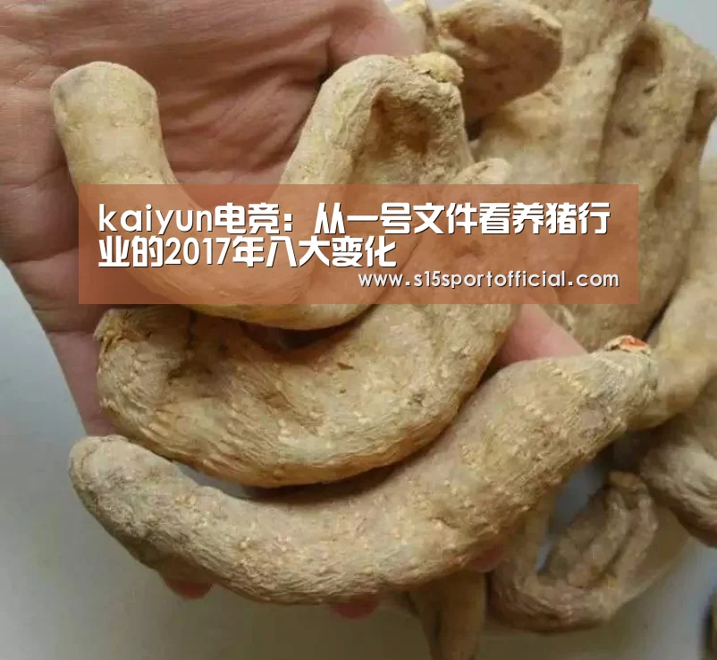 开云电竞
