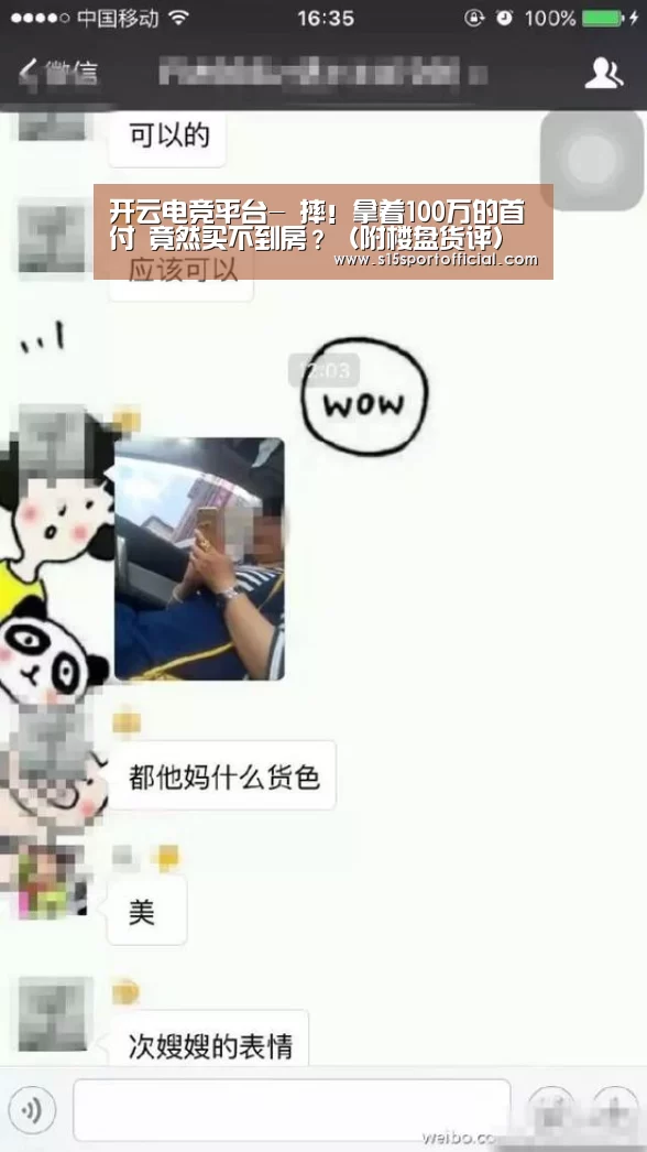 开云电竞平台-
摔!拿着100万的首付 竟然买不到房?(附楼盘货评)(图3) 开云电竞
