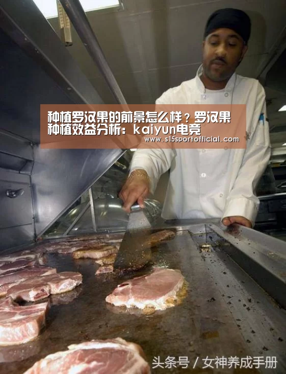 种植罗汉果的前景怎么样?罗汉果种植效益分析:kaiyun电竞(图3) 开云电竞官网